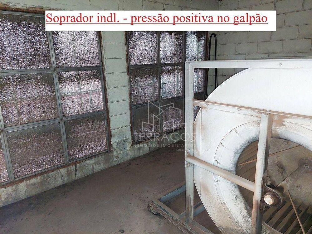 Depósito-Galpão-Armazém à venda e aluguel, 1500m² - Foto 4