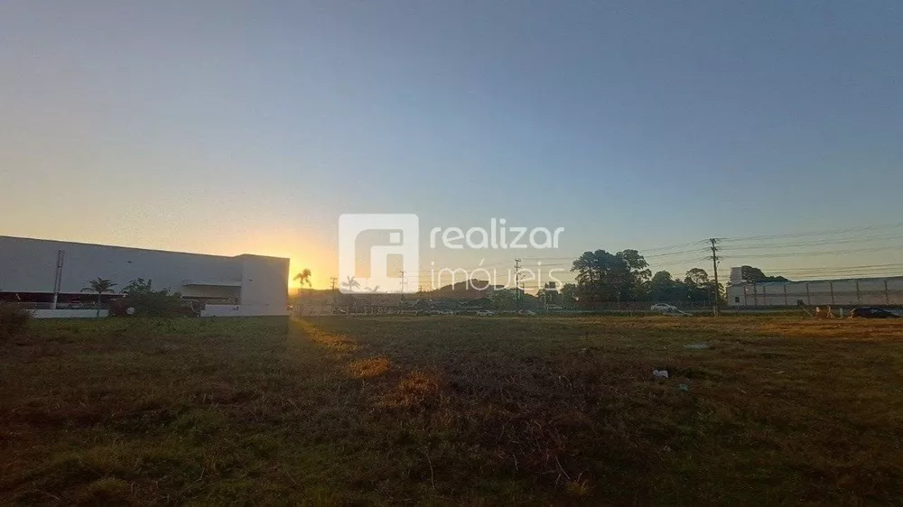 Terreno, 1 hectares - Foto 3
