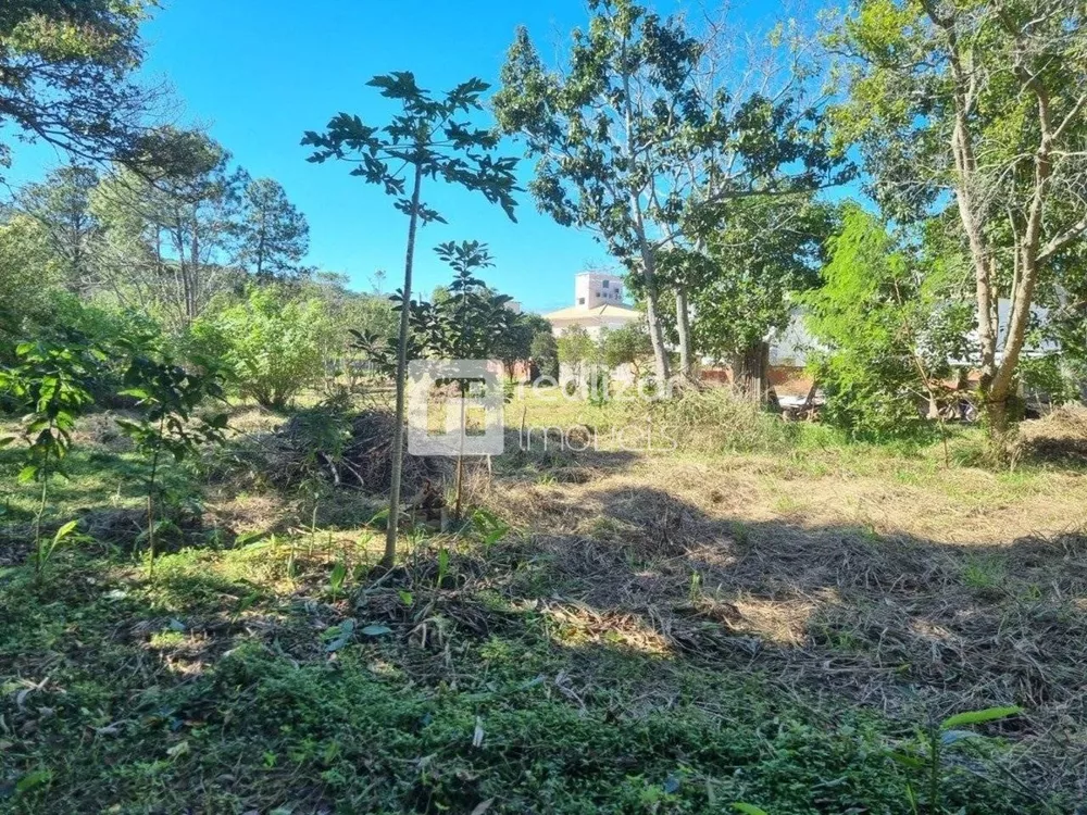 Terreno, 4122 m² - Foto 4