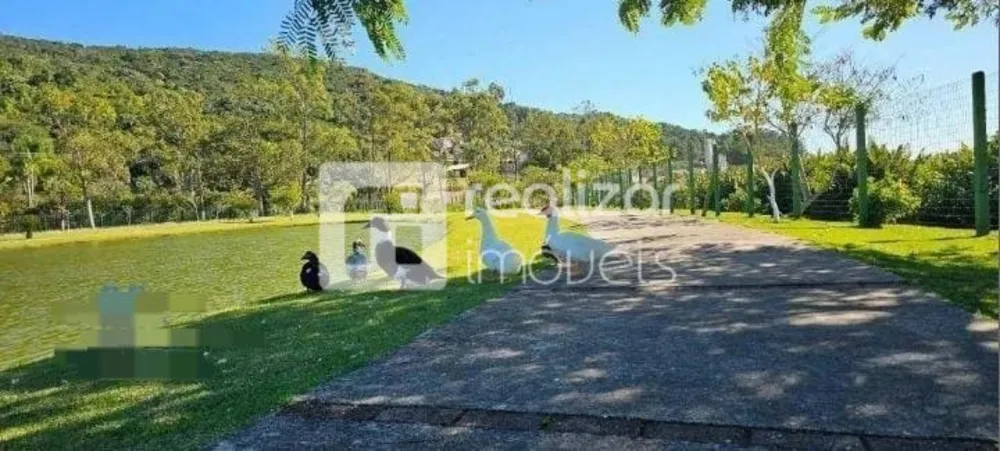 Terreno, 3149 m² - Foto 13