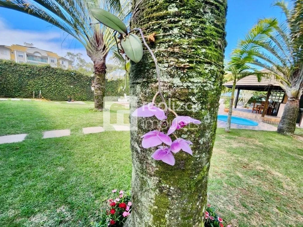 Casa, 4 quartos, 443 m² - Foto 1