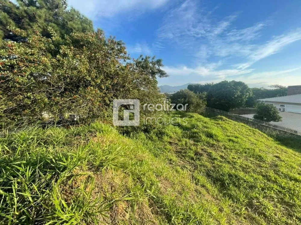 Terreno, 1486 m² - Foto 3
