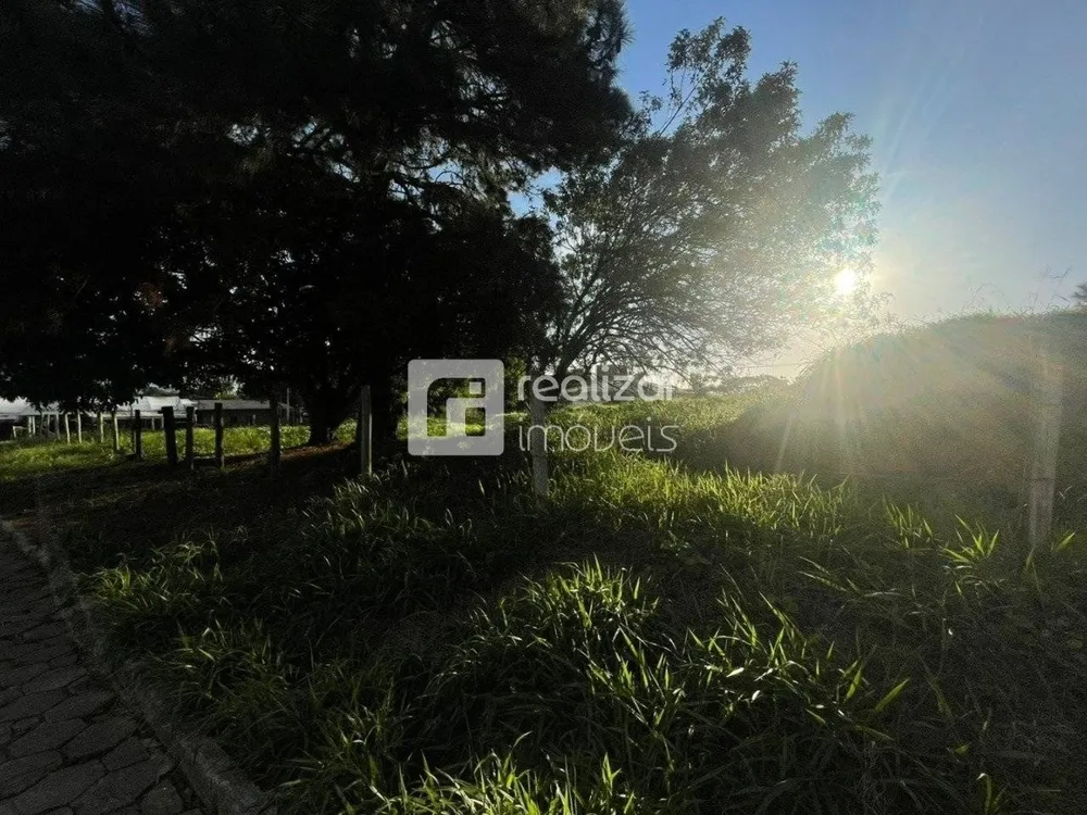 Terreno, 1486 m² - Foto 3
