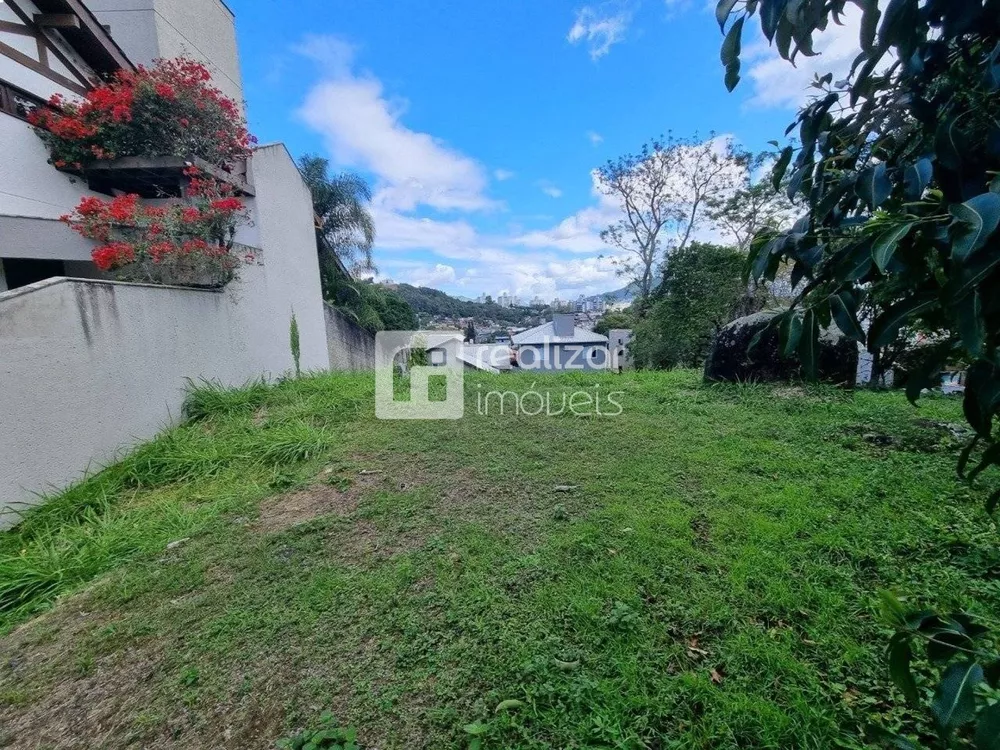 Terreno, 546 m² - Foto 2
