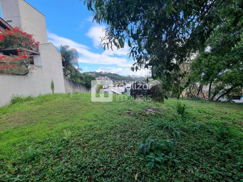 Terreno, 546 m² - Foto 6