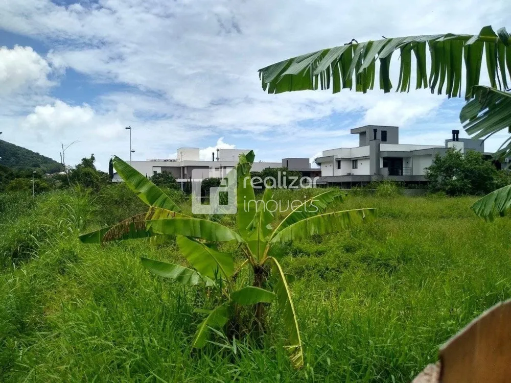 Terreno, 425 m² - Foto 4