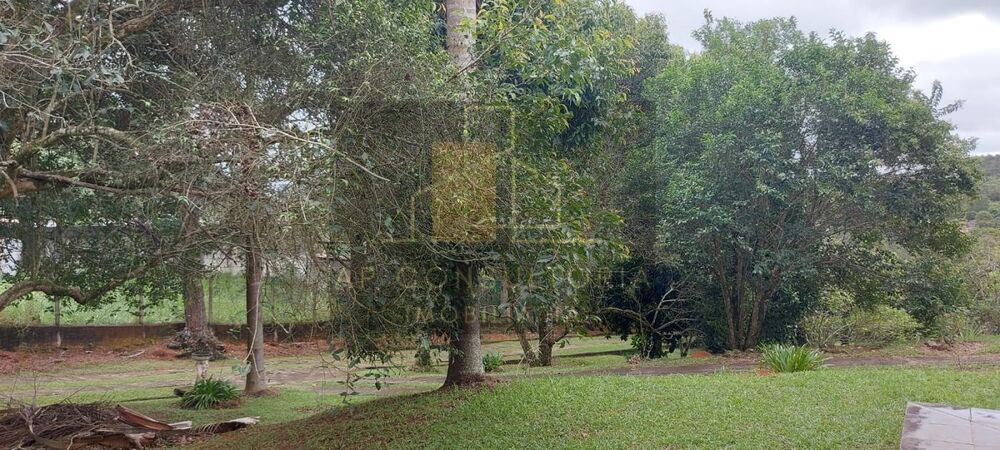 Chácara, 4 quartos, 3 hectares - Foto 16