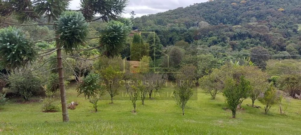 Chácara, 4 quartos, 3 hectares - Foto 32