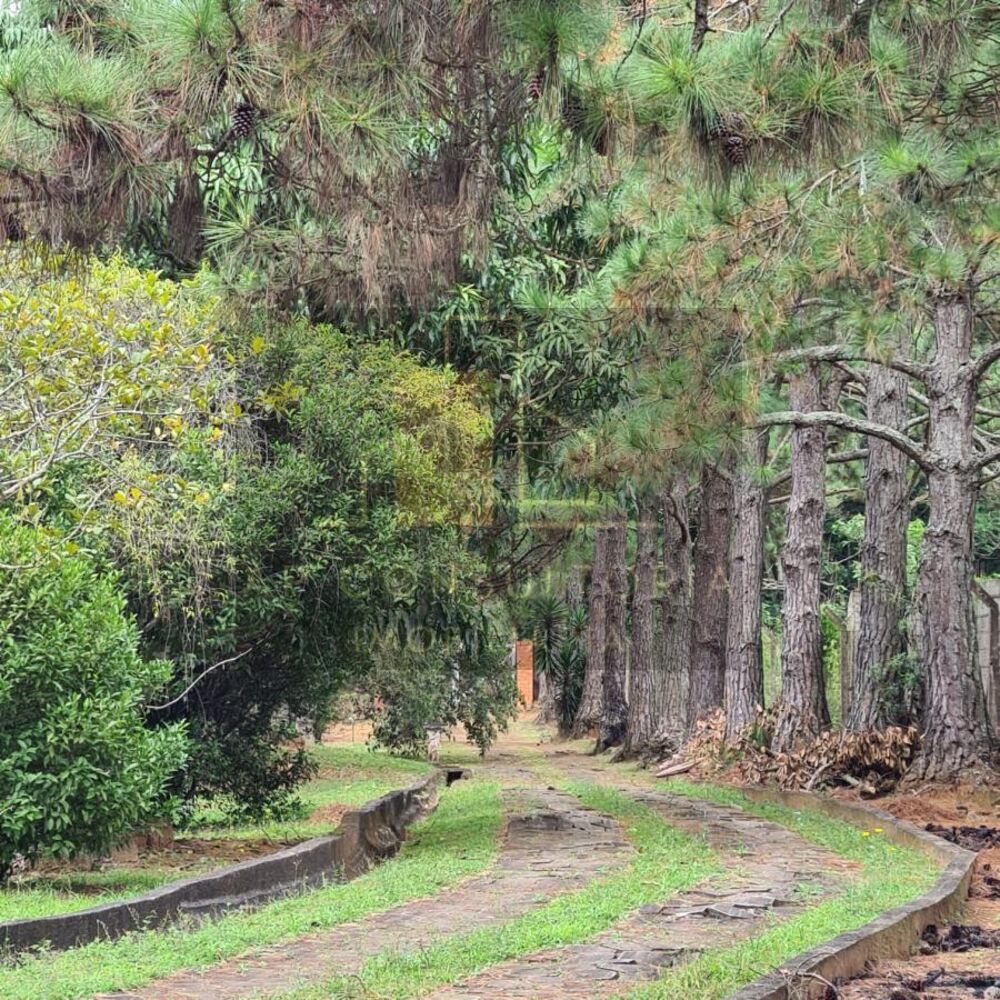 Chácara, 4 quartos, 3 hectares - Foto 19