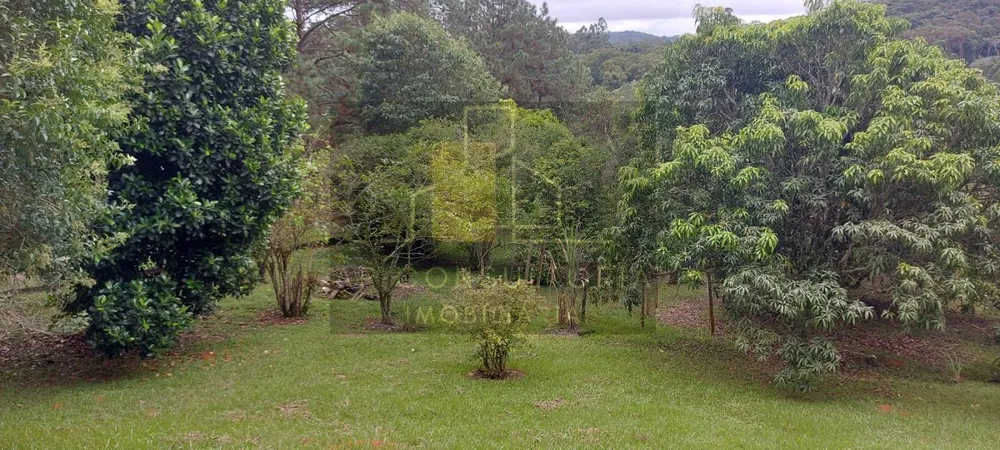 Chácara, 4 quartos, 3 hectares - Foto 25