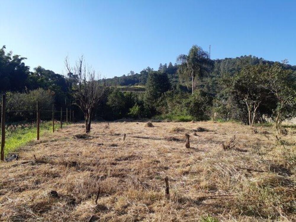 Terreno, 1600 m² - Foto 5