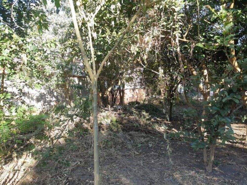 Terreno, 1600 m² - Foto 3