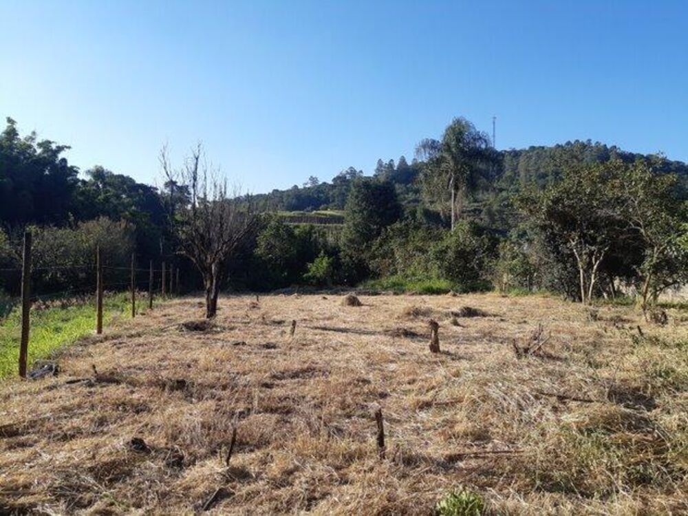 Terreno, 1600 m² - Foto 4