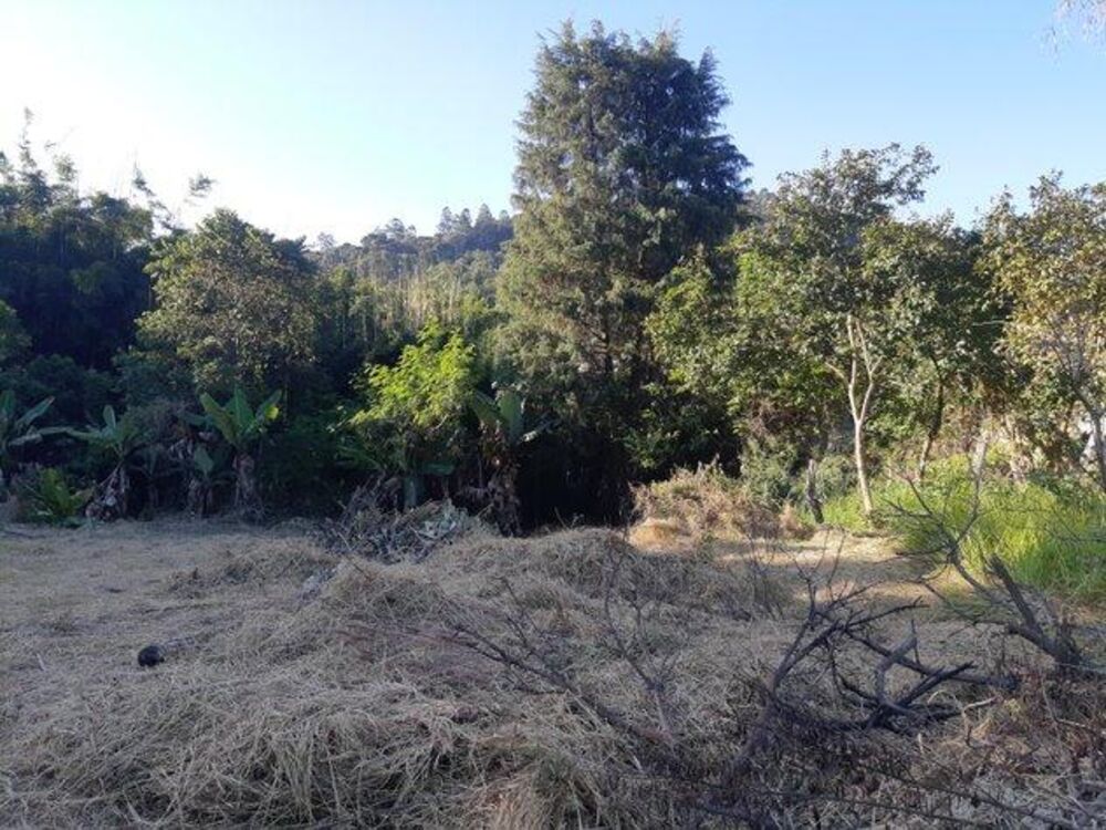 Terreno, 1600 m² - Foto 12