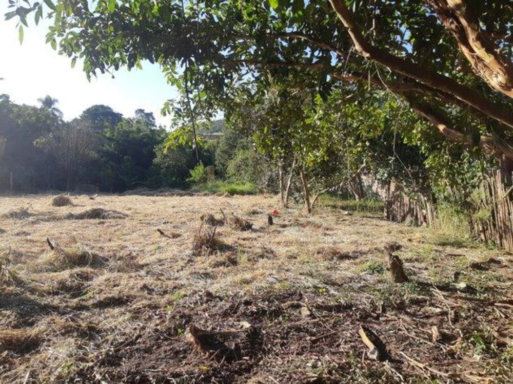 Terreno, 1600 m² - Foto 6