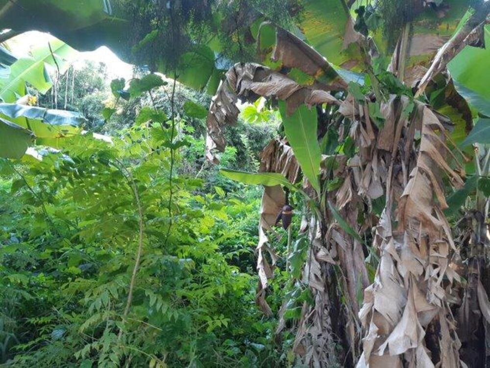 Terreno, 1600 m² - Foto 14