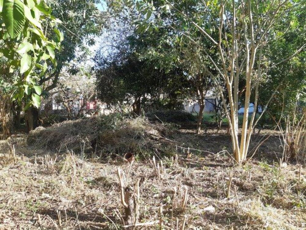 Terreno, 1600 m² - Foto 9