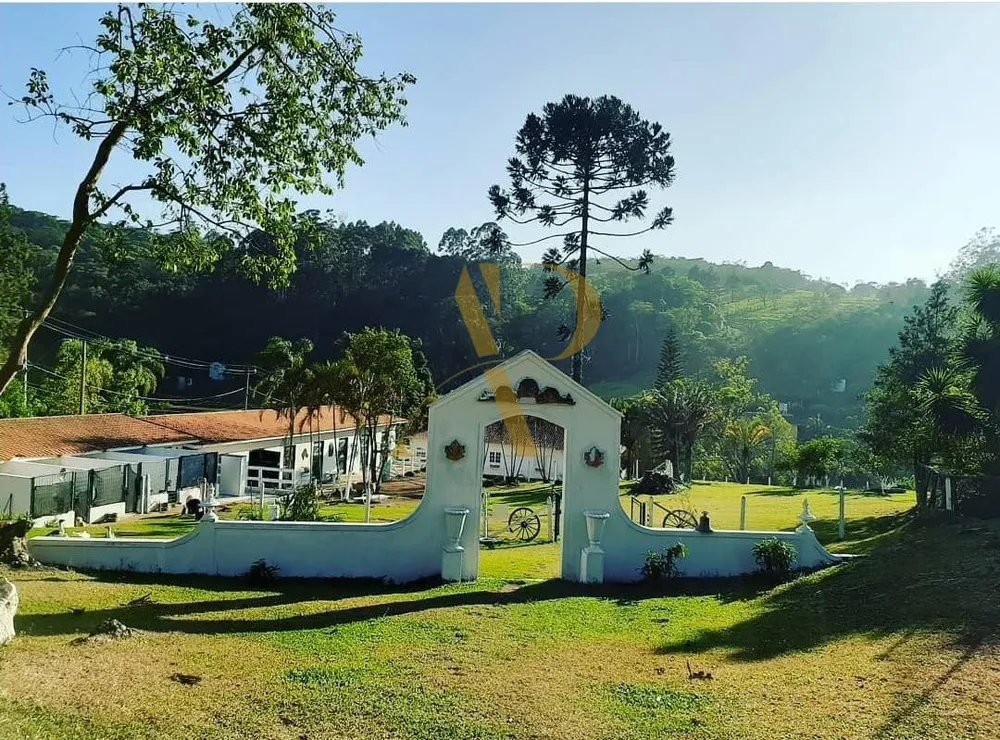 Sítio, 11 quartos, 3 hectares - Foto 11