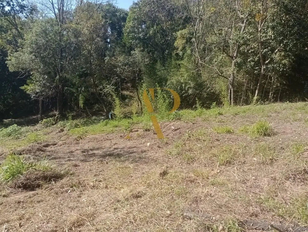 Terreno, 1 hectares - Foto 9