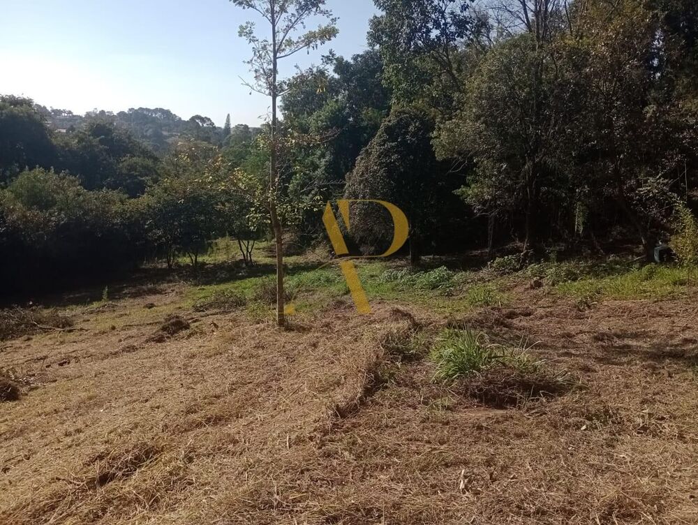 Terreno à venda, 12802m² - Foto 3