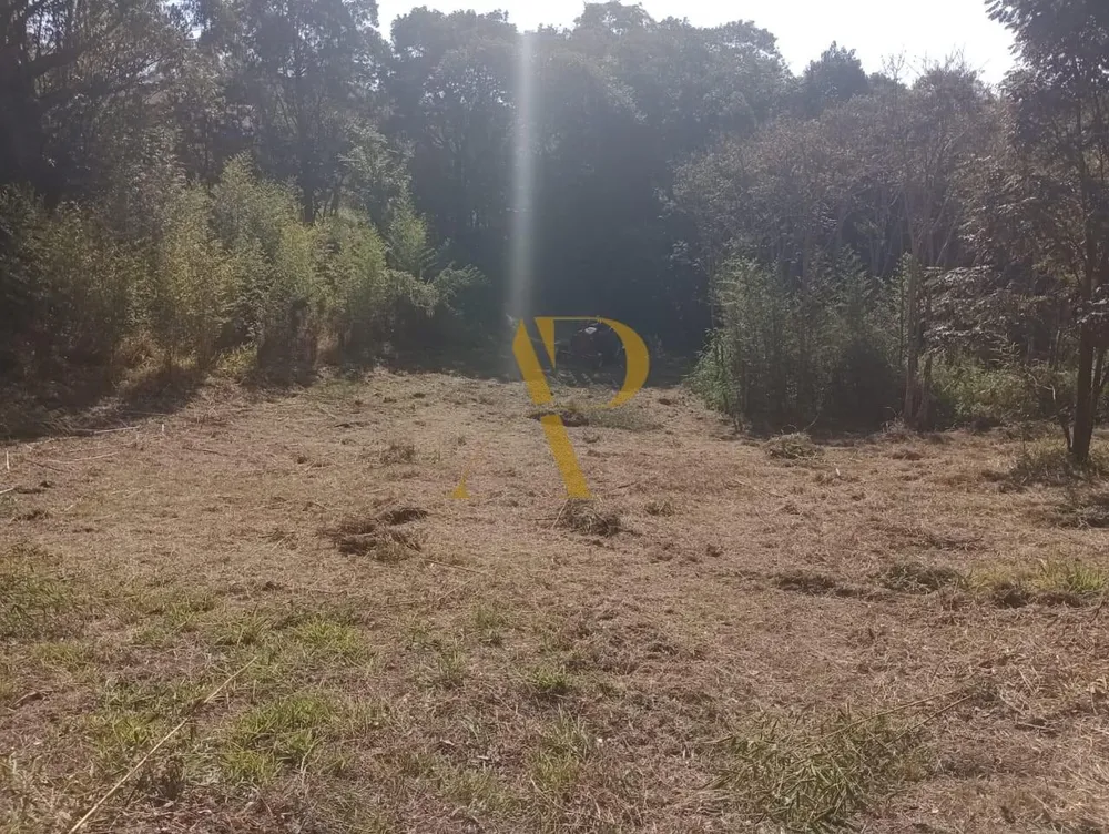 Terreno, 1 hectares - Foto 6