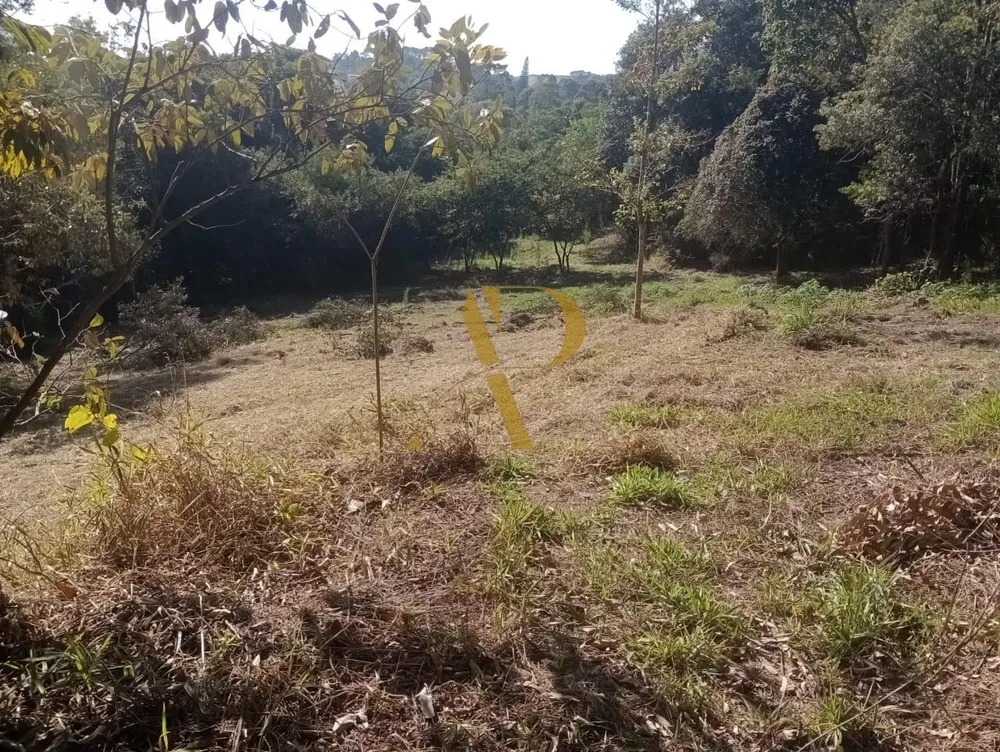 Terreno, 1 hectares - Foto 3