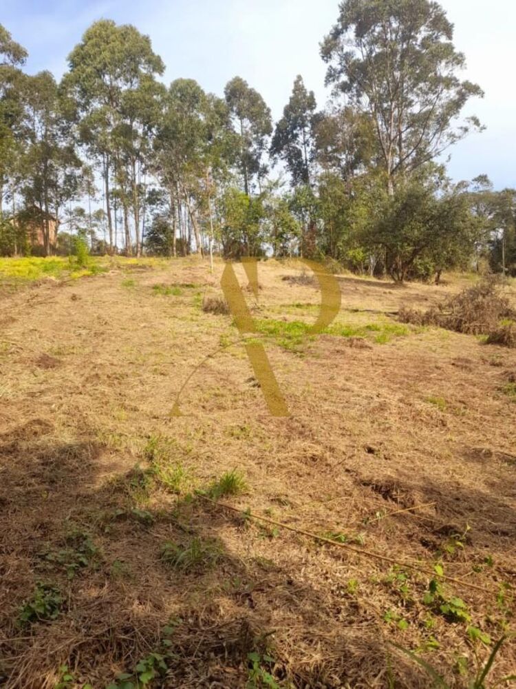 Terreno à venda, 12802m² - Foto 4