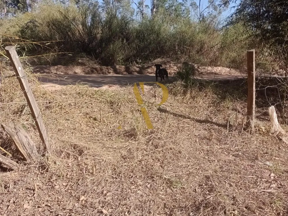 Terreno, 1 hectares - Foto 4