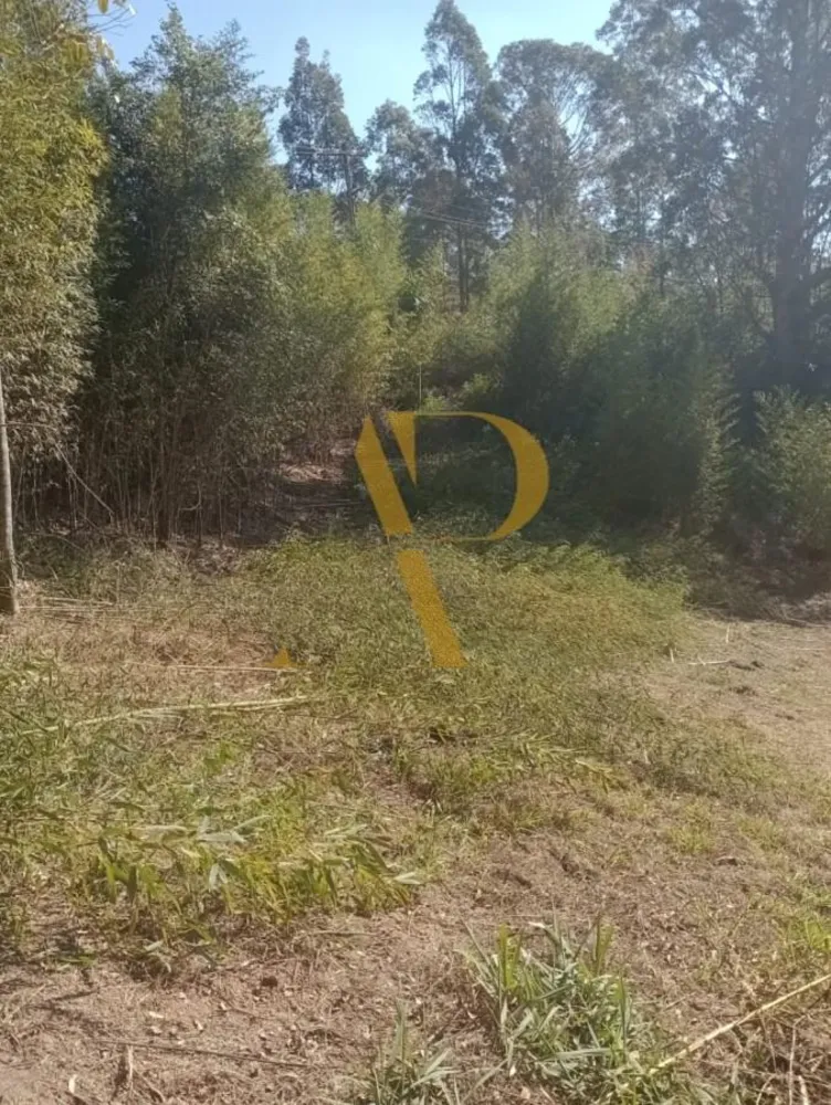 Terreno, 1 hectares - Foto 5