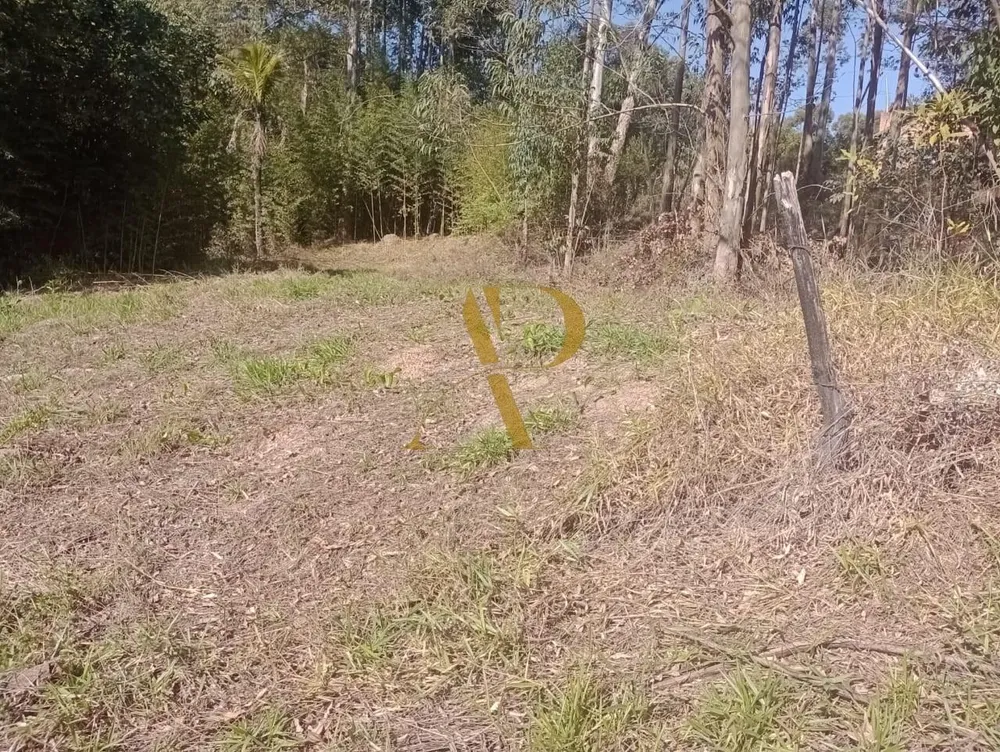 Terreno, 1 hectares - Foto 8