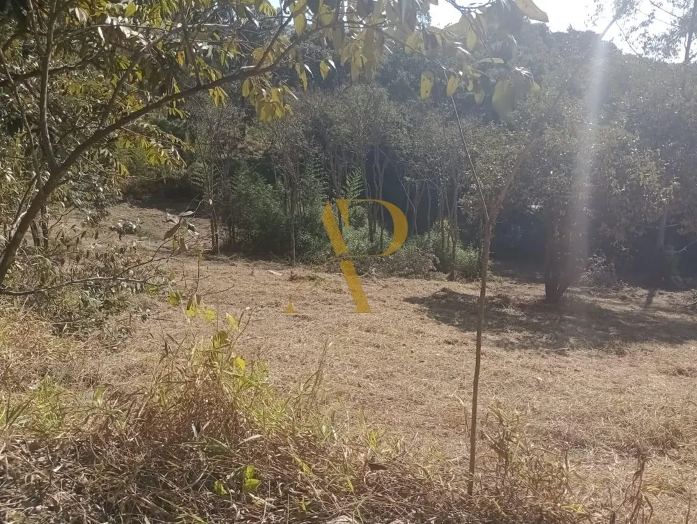 Terreno, 1 hectares - Foto 2