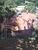 Terreno, 250 m² - Foto 4
