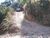 Terreno, 250 m² - Foto 7