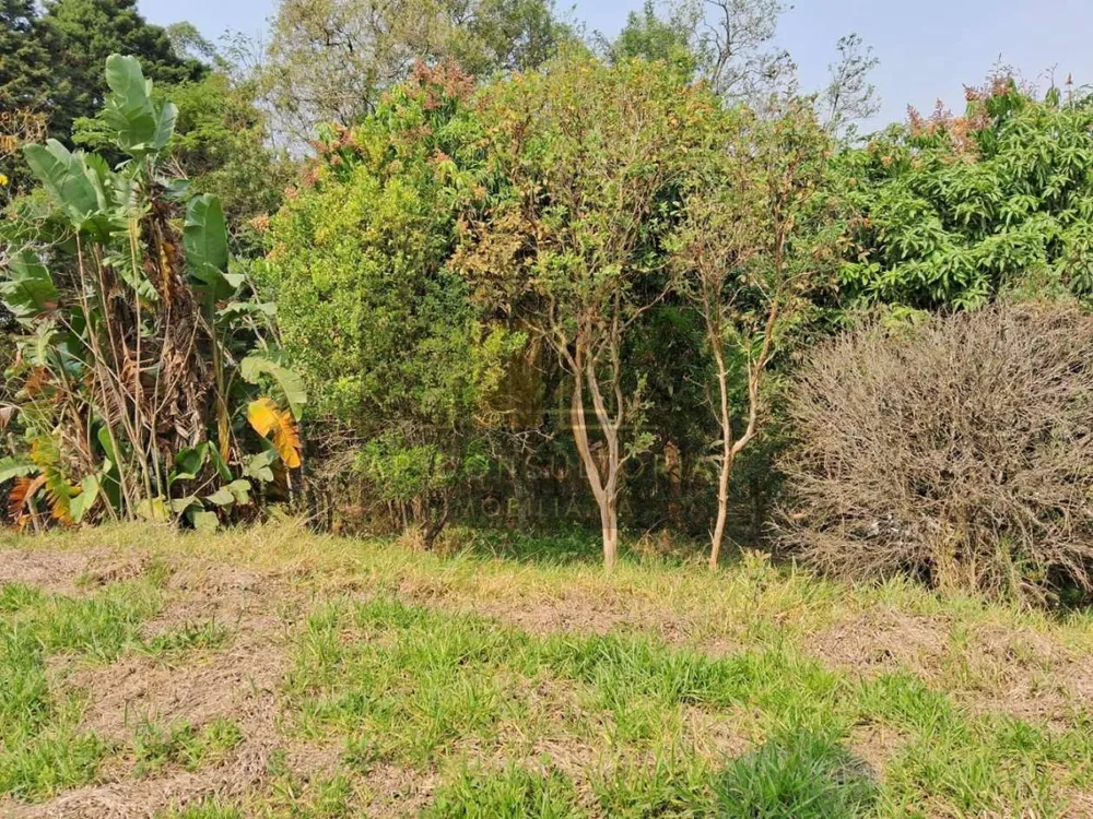 Chácara, 2500 m² - Foto 8