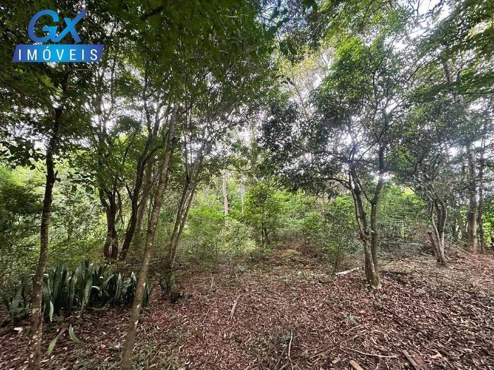 Chácara - Foto 7