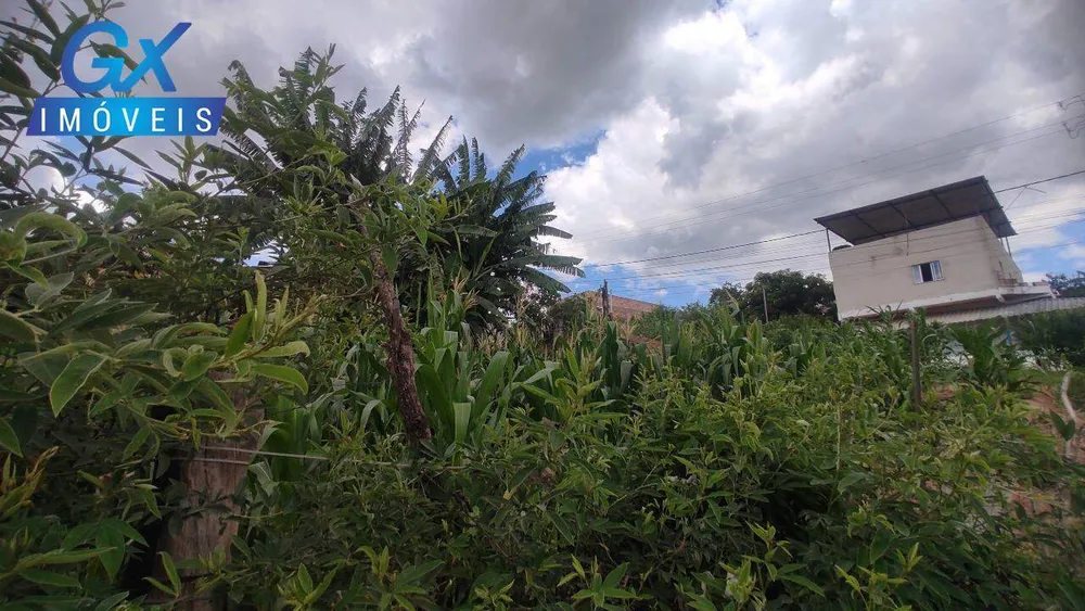 Terreno, 392 m² - Foto 10