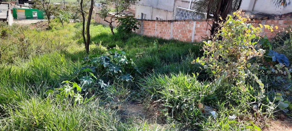 Terreno, 360 m² - Foto 3