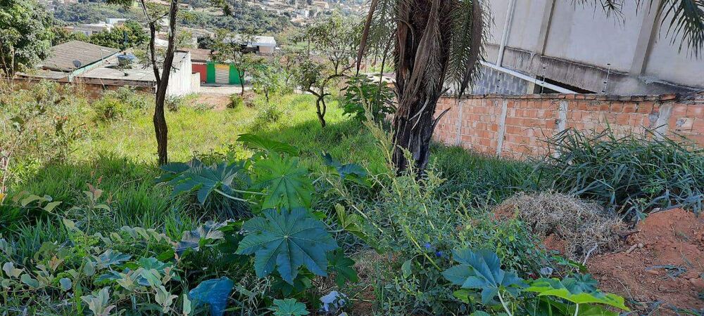 Terreno à venda, 360m² - Foto 4