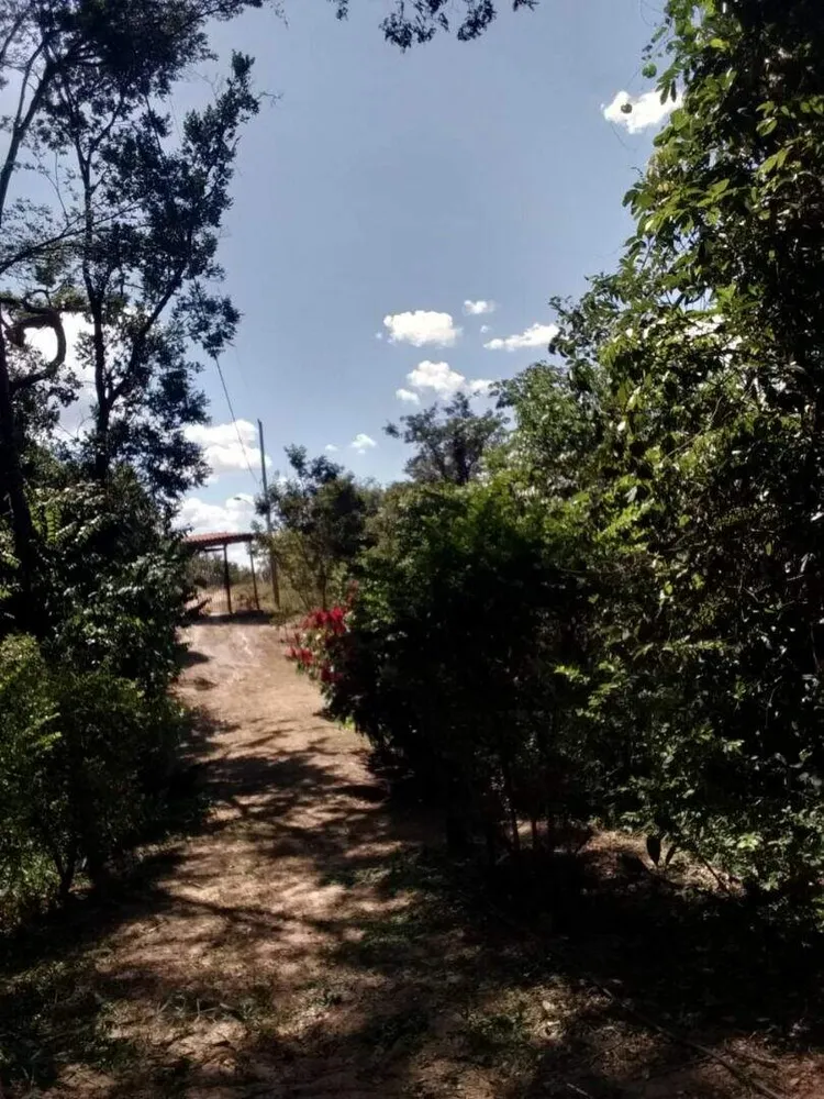 Sítio, 4 quartos, 10000 m² - Foto 14
