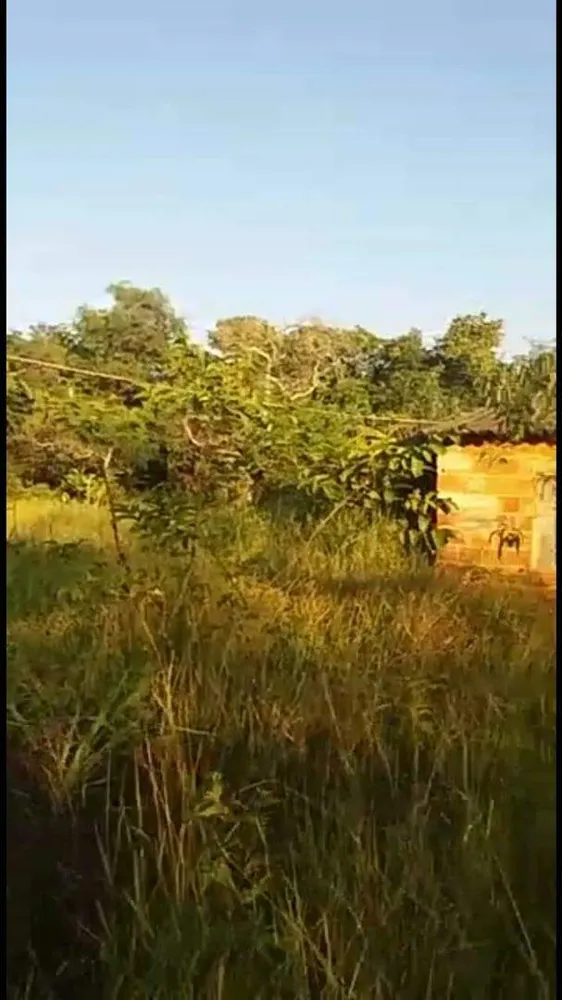 Terreno, 7 hectares - Foto 15