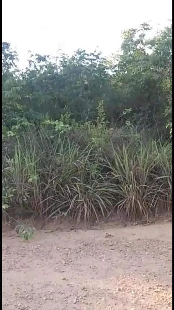 Terreno, 7 hectares - Foto 7