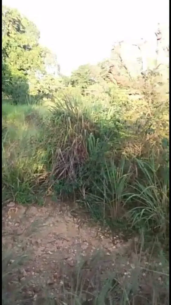 Terreno, 7 hectares - Foto 19