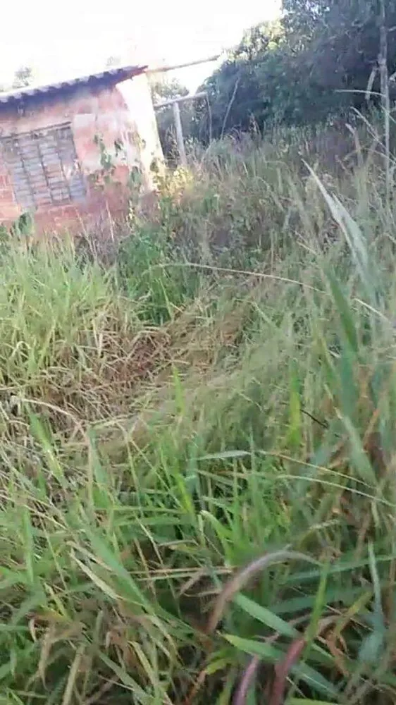 Terreno, 7 hectares - Foto 13