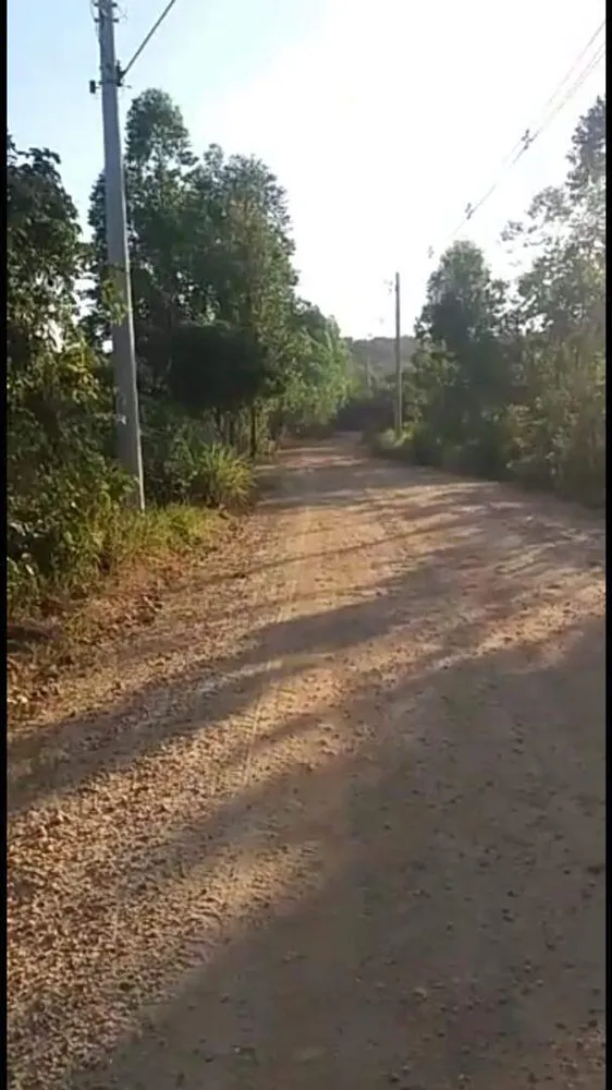 Terreno, 7 hectares - Foto 6