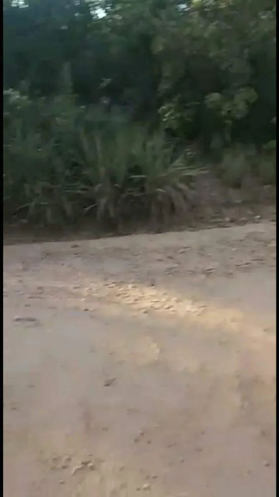 Terreno, 7 hectares - Foto 9