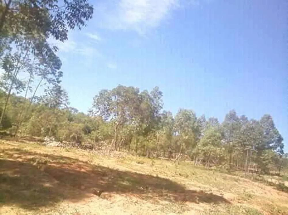 Terreno, 7 hectares - Foto 23