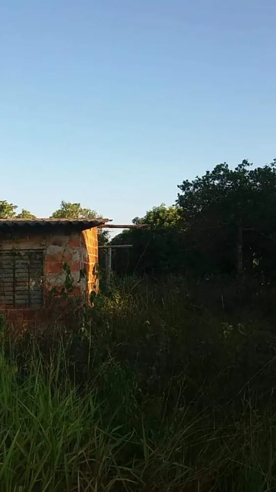 Terreno, 7 hectares - Foto 12