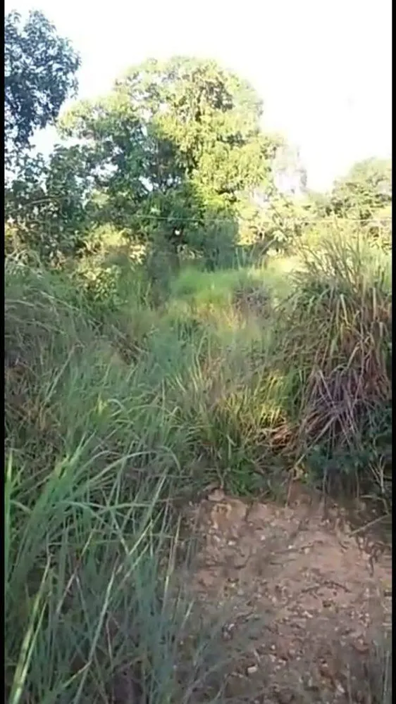 Terreno, 7 hectares - Foto 17