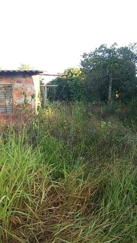 Terreno, 7 hectares - Foto 18