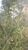 Terreno, 7 hectares - Foto 4